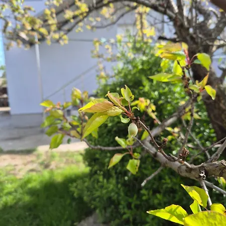 Aerolux Apartments-surcin, Near Belgrade Airport Apartament